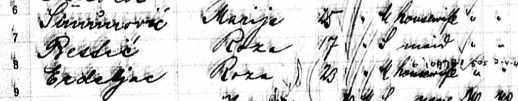 A historical document featuring handwritten records of names with various annotations.