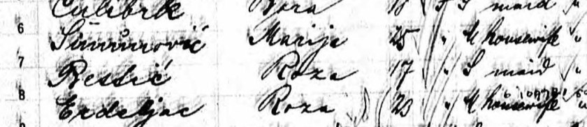 "Rosa Bessic,"actually Bestic. The ship manifest says Rose was 17, but going by her birthdate, she was actually 15. She was just 5 feet tall, with $26 in her purse. Arrived on the Kaiser Wilhelm II from Bremen; June 28, 1910.
